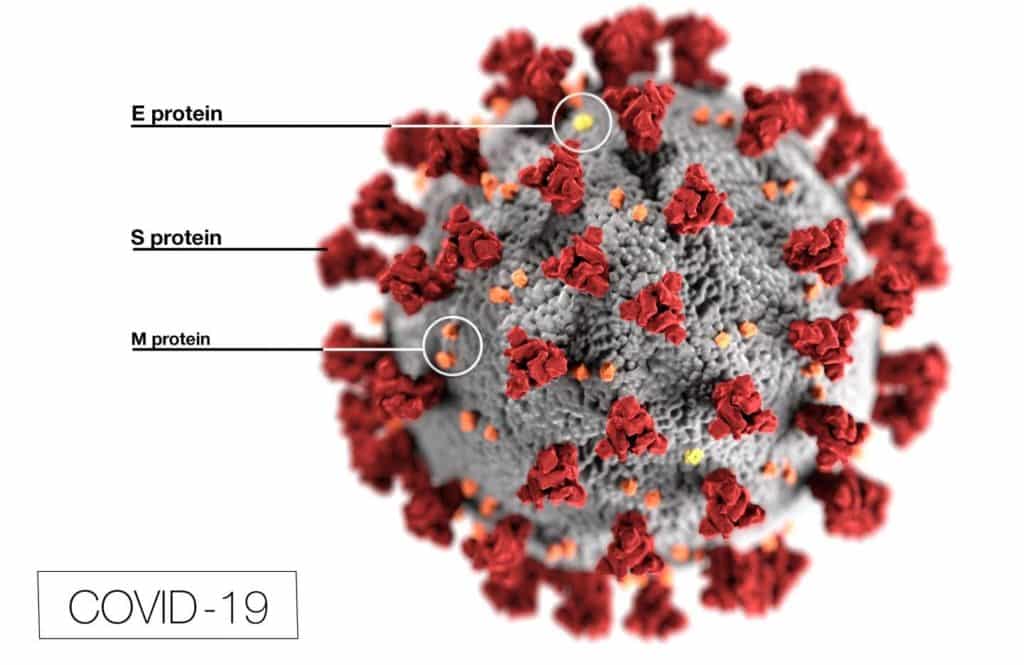 aceinhibitor